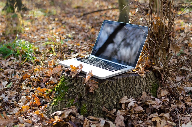 ordinateur portable dans la forêt